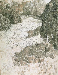 O canto do parque, 1888 (tinta e lápis sobre papel)